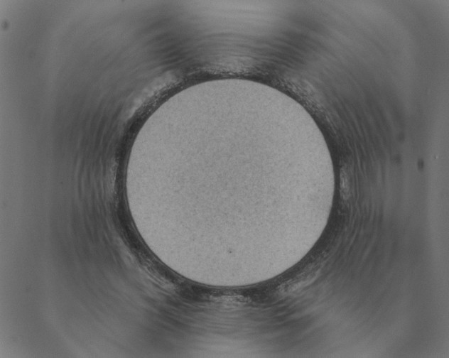 X0000088410396200706191427