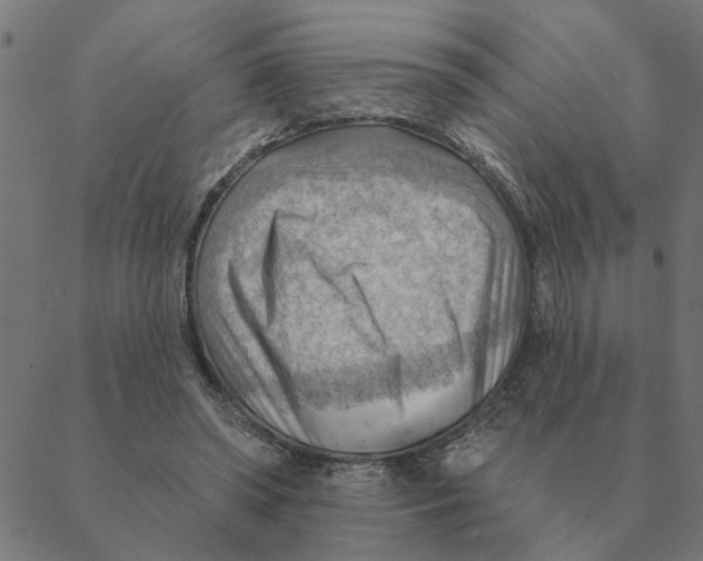 X0000088410398200706191427