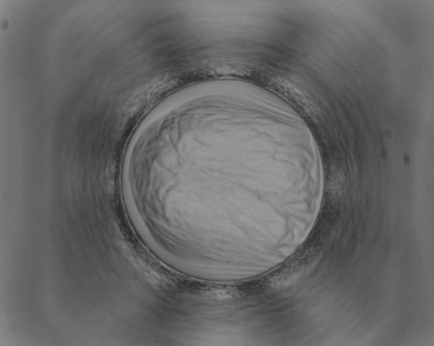X0000088410402200706191427