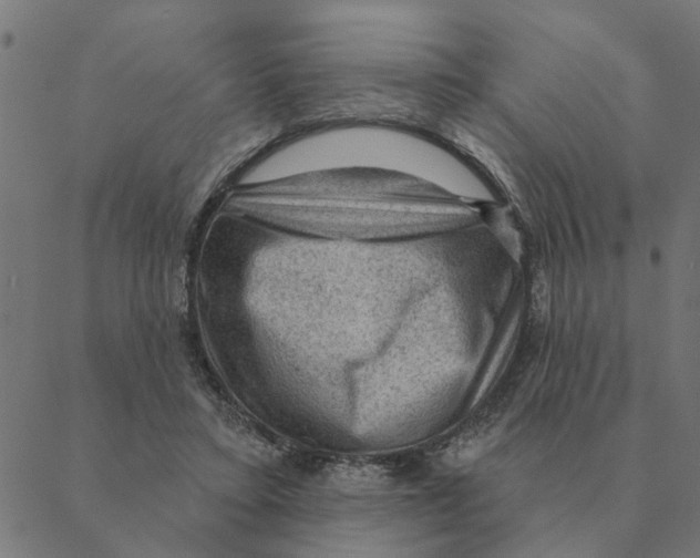 X0000088410403200706191427