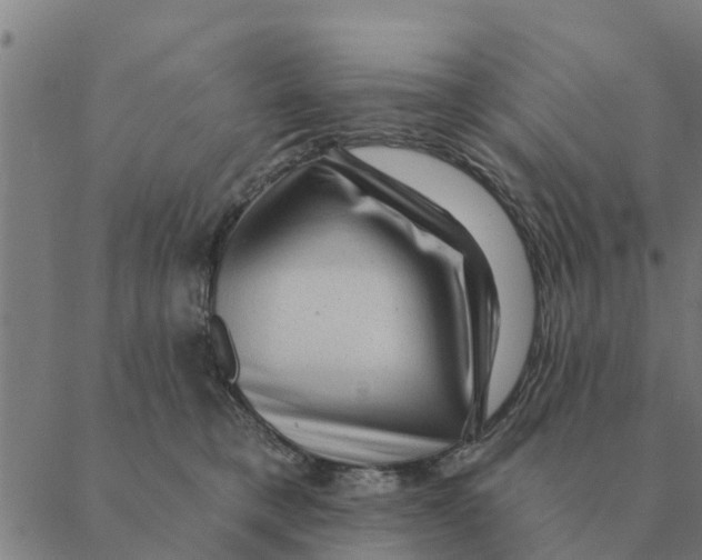 X0000088410421200706191427