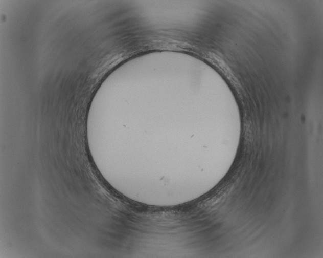 X0000088410433200706191426