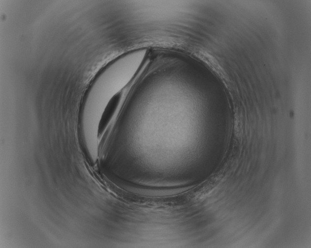 X0000088410434200706191426