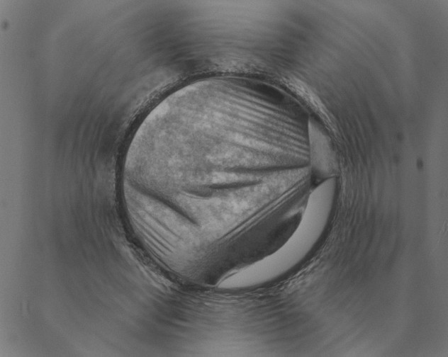 X0000088410442200706191426