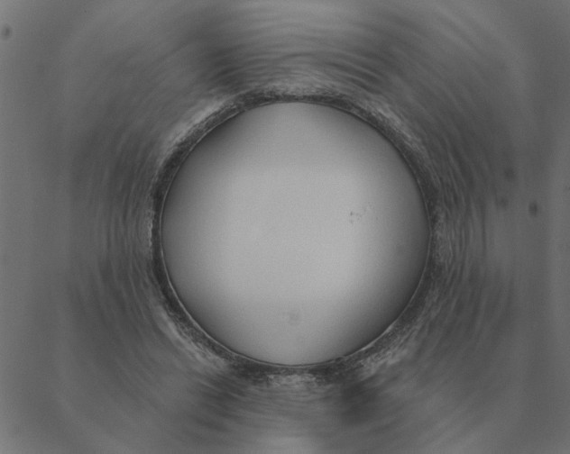 X0000088410446200706191426