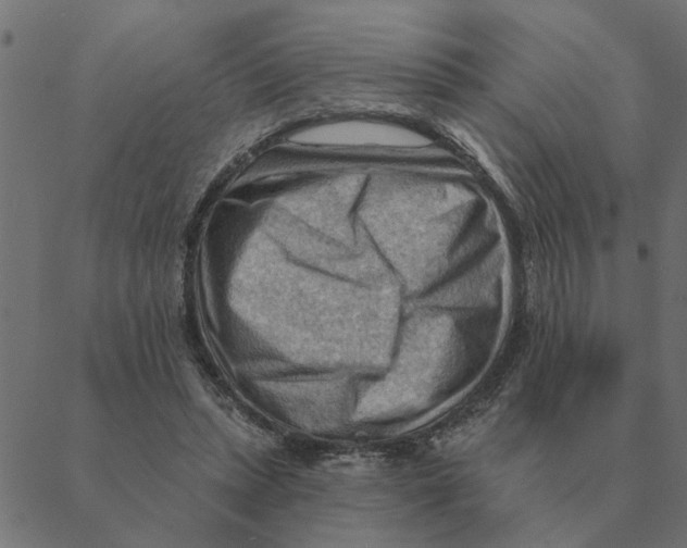 X0000088410447200706191426