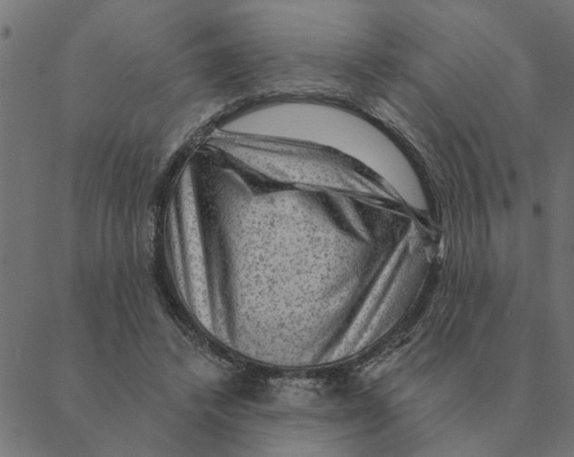 X0000088410448200706191426