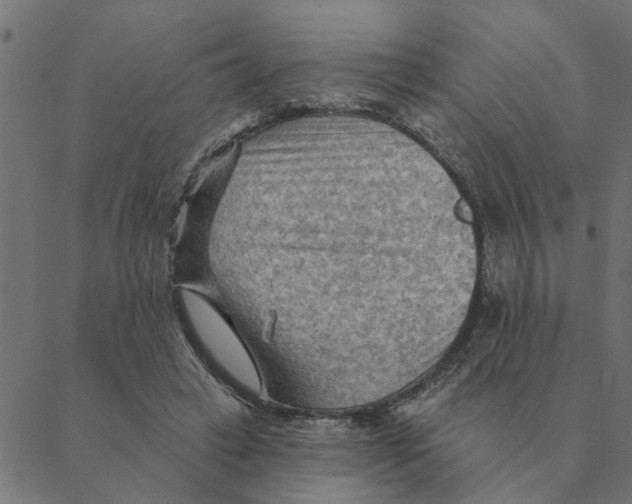 X0000088410449200706191426
