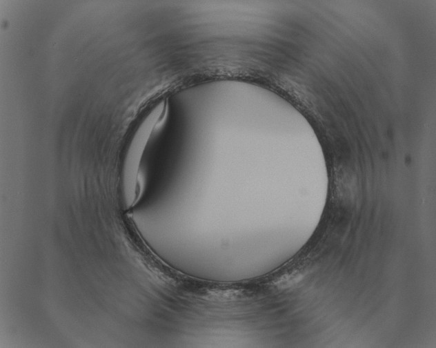 X0000088410450200706191426