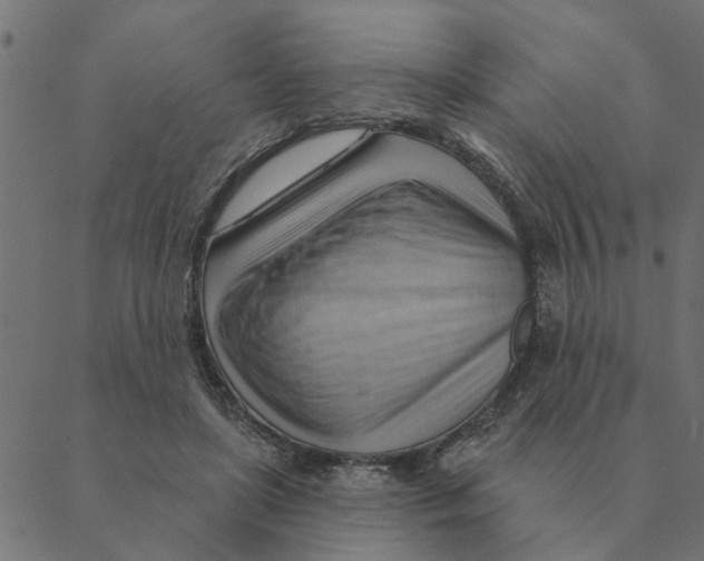 X0000088410451200706191426