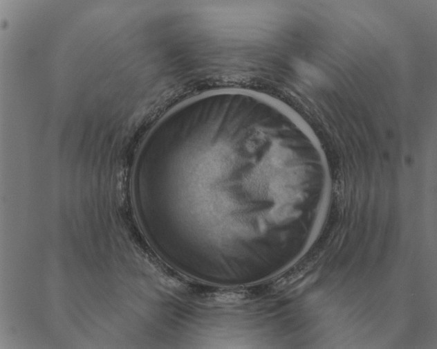 X0000088410462200706191426