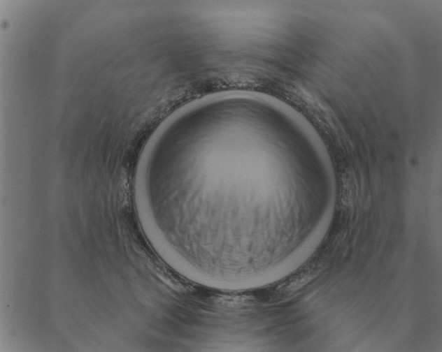 X0000088410465200706191427