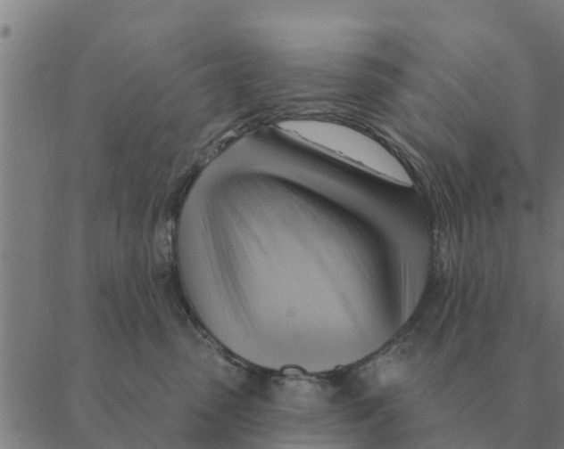 X0000088410475200706191427
