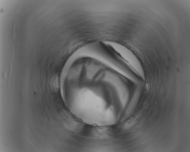X0000088410479200706191427