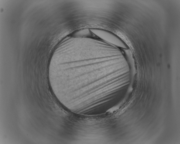 X0000088410481200706191426