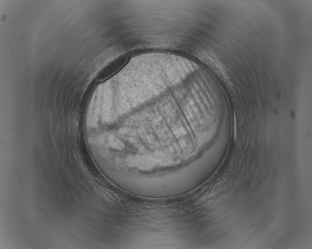 X0000088410483200706191426