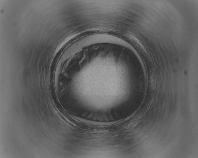 X0000088410484200706191426