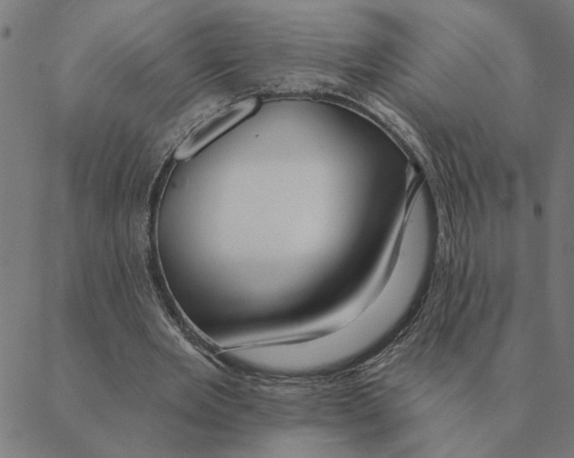 X0000088410485200706191426