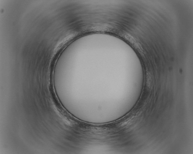 X0000088410486200706191426