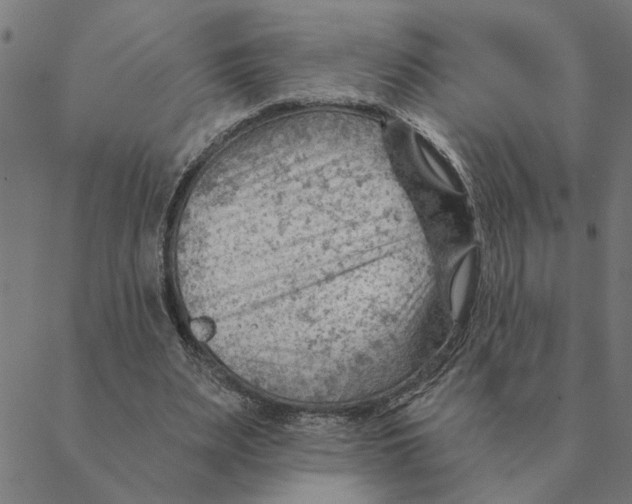 X0000088410487200706191426