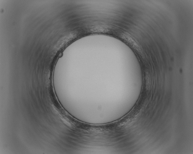 X0000088410490200706191426