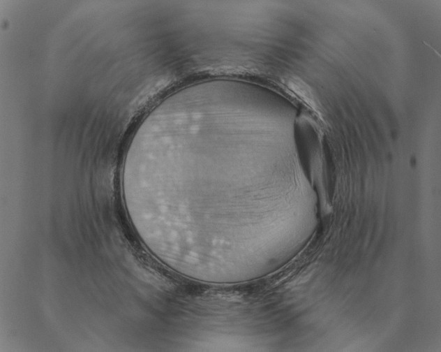 X0000088410491200706191426