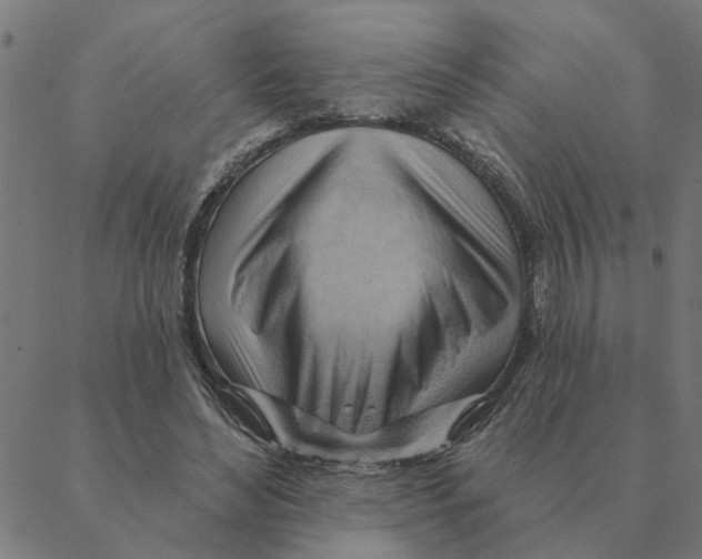 X0000088410492200706191426