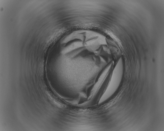X0000088410493200706191426