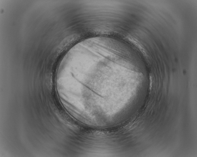 X0000088410494200706191426