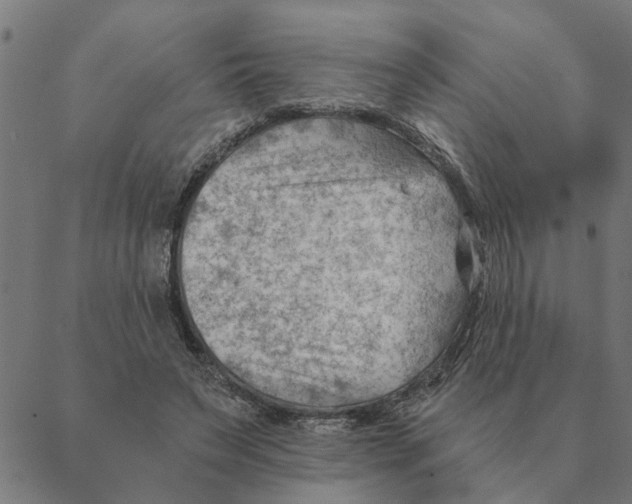 X0000088410495200706191426