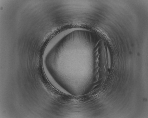 X0000088410496200706191426