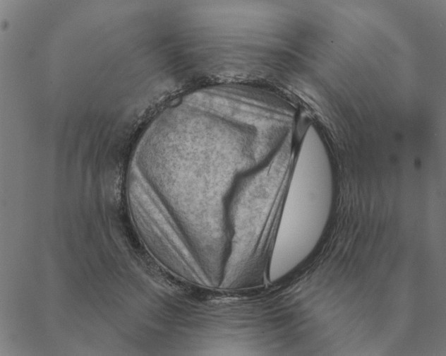 X0000088410499200706191426