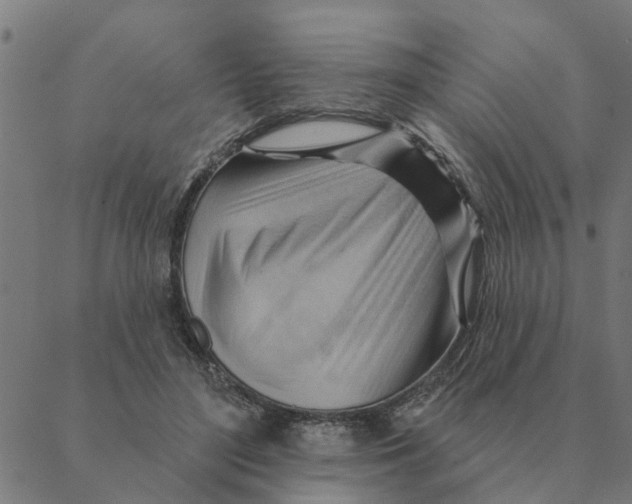 X0000088410500200706191426