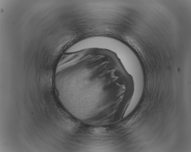 X0000088410501200706191426