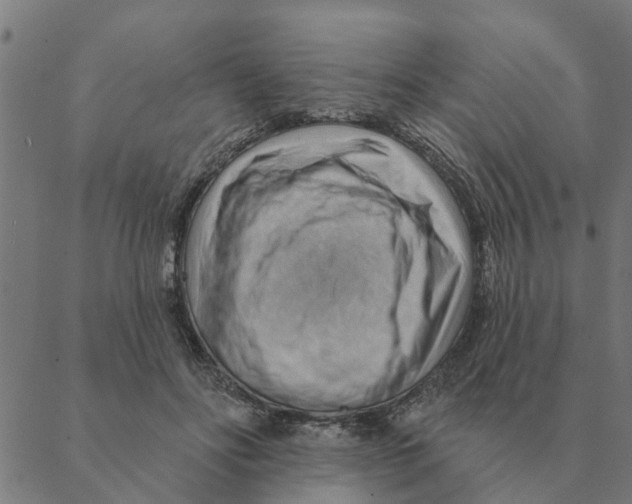 X0000088410502200706191426