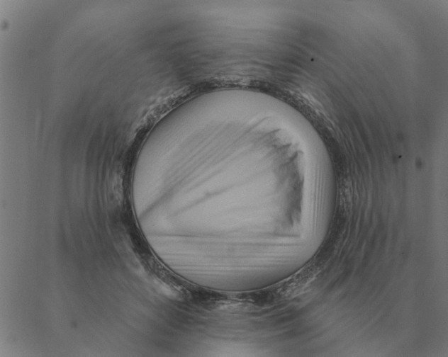 X0000088410504200706191426