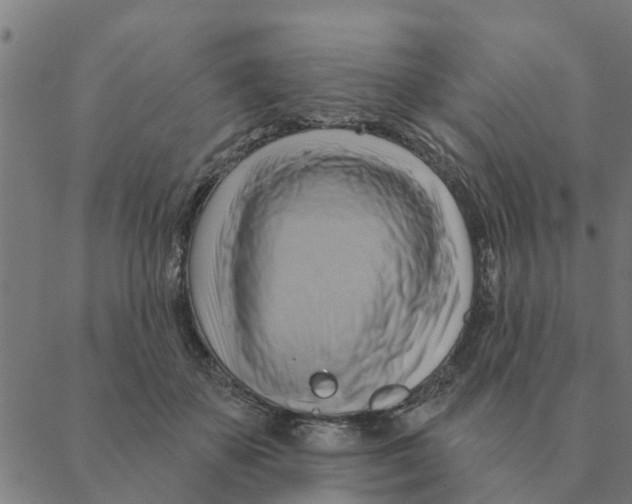 X0000088410507200706191426