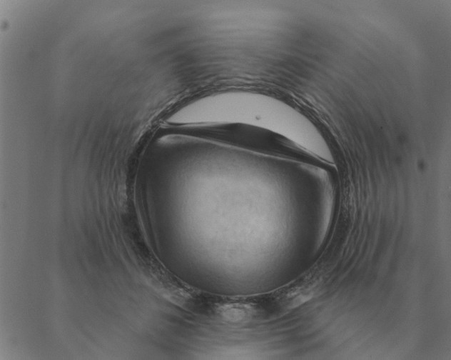 X0000088410508200706191426