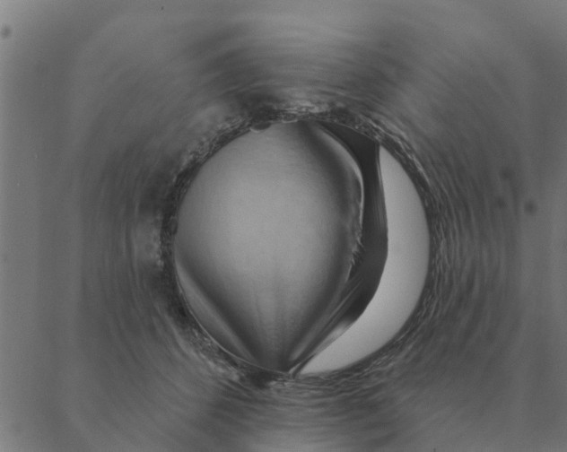 X0000088410512200706191425