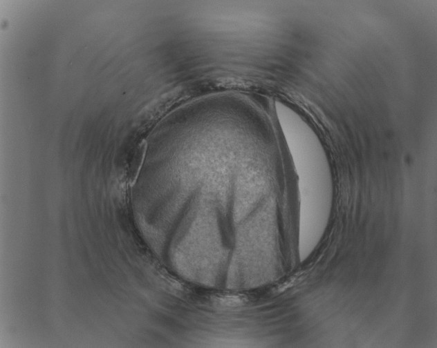 X0000088410513200706191425