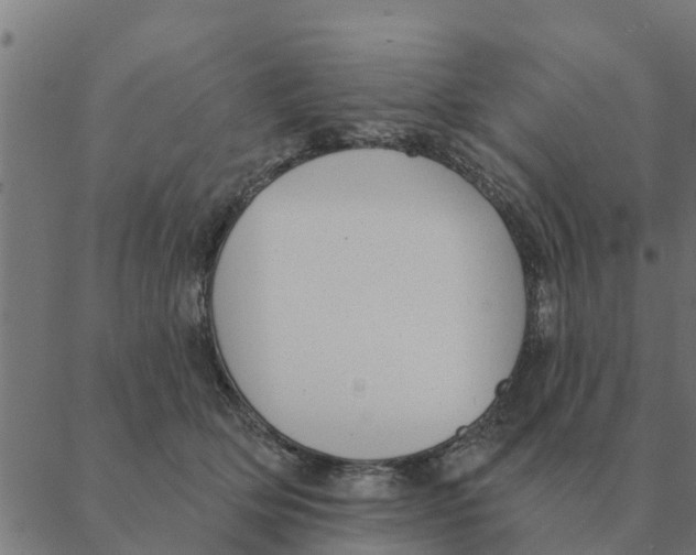 X0000088410514200706191425