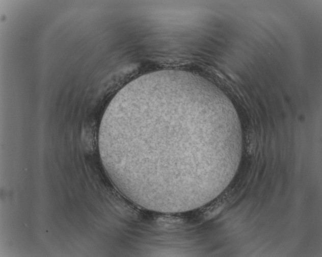 X0000088410515200706191425