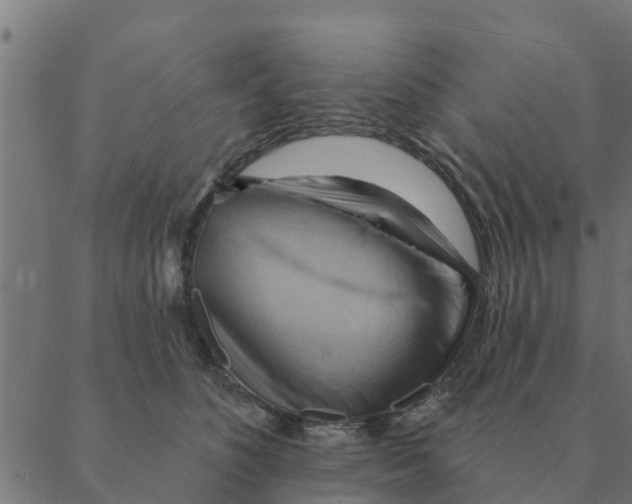 X0000088410516200706191425