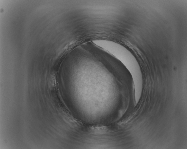 X0000088410517200706191425