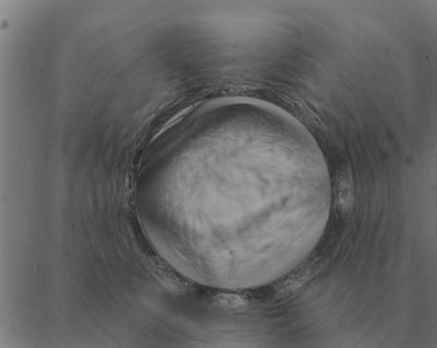 X0000088410519200706191425