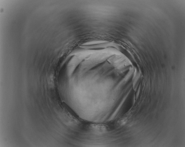 X0000088410520200706191425