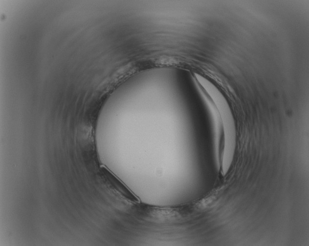 X0000088410521200706191425