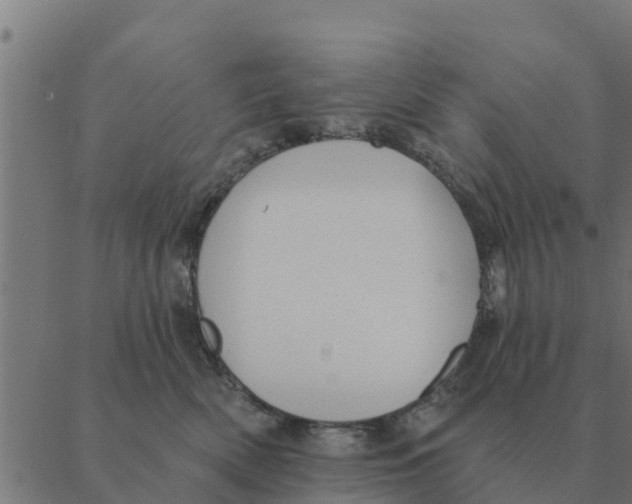 X0000088410522200706191425