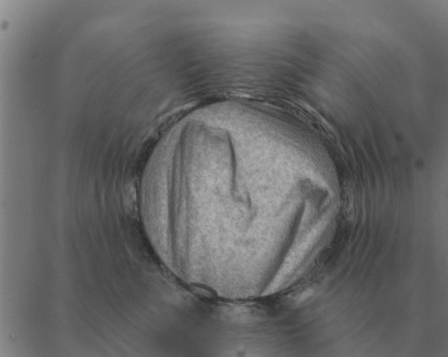 X0000088410523200706191425