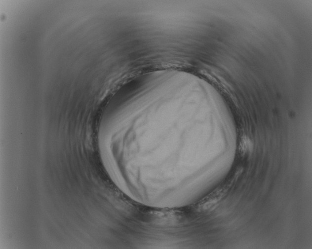 X0000088410524200706191425